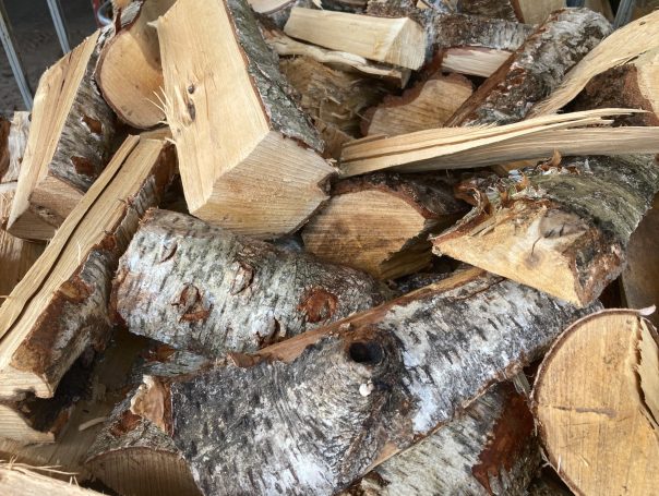 Brike 30cm 95,00€/srm trocken